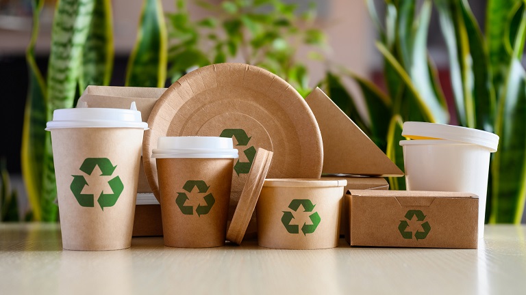  Eco-Friendly Packaging Solutions